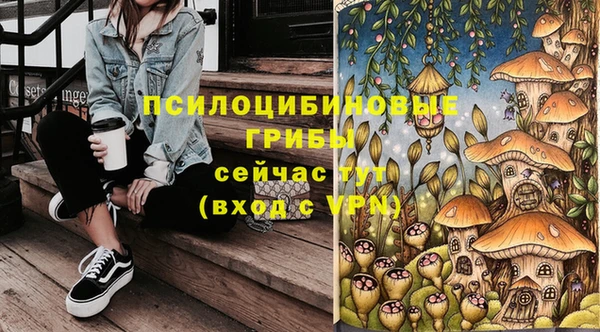 Альфа ПВП Баксан