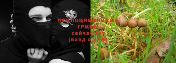 Альфа ПВП Баксан