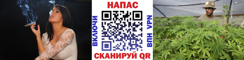 Бошки Шишки SATIVA & INDICA  мега ссылки  Омутнинск 